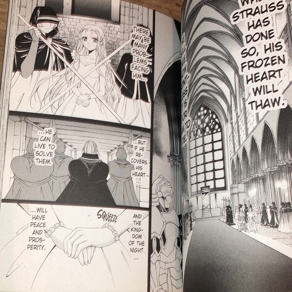 The Record of a Fallen Vampire Manga - Volume 7 by Kyo Shirodaira - Picture 7 of 12